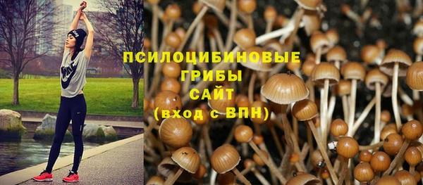 спиды Володарск